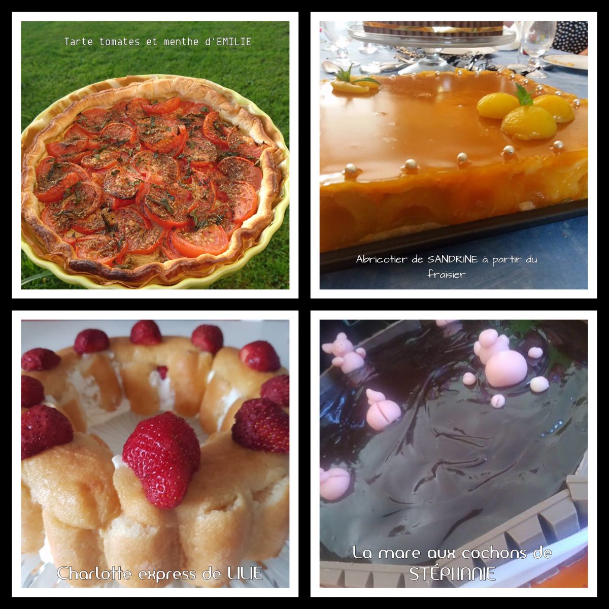 Mise à l’honneur n°2 de mai : tarte tomate, abricotier, Charlotte aux fraises express, mare aux cochons Thermomix ou sans