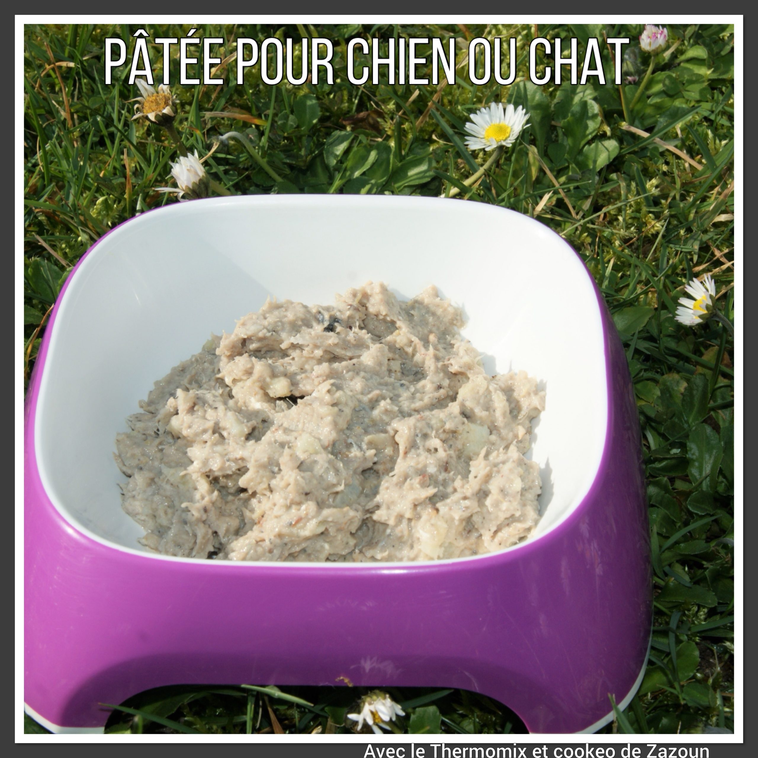 Patee Anti Gaspillage Au Poisson Pour Chat Et Chien Avec Le Thermomix Et Le Cookeo De Zazoun