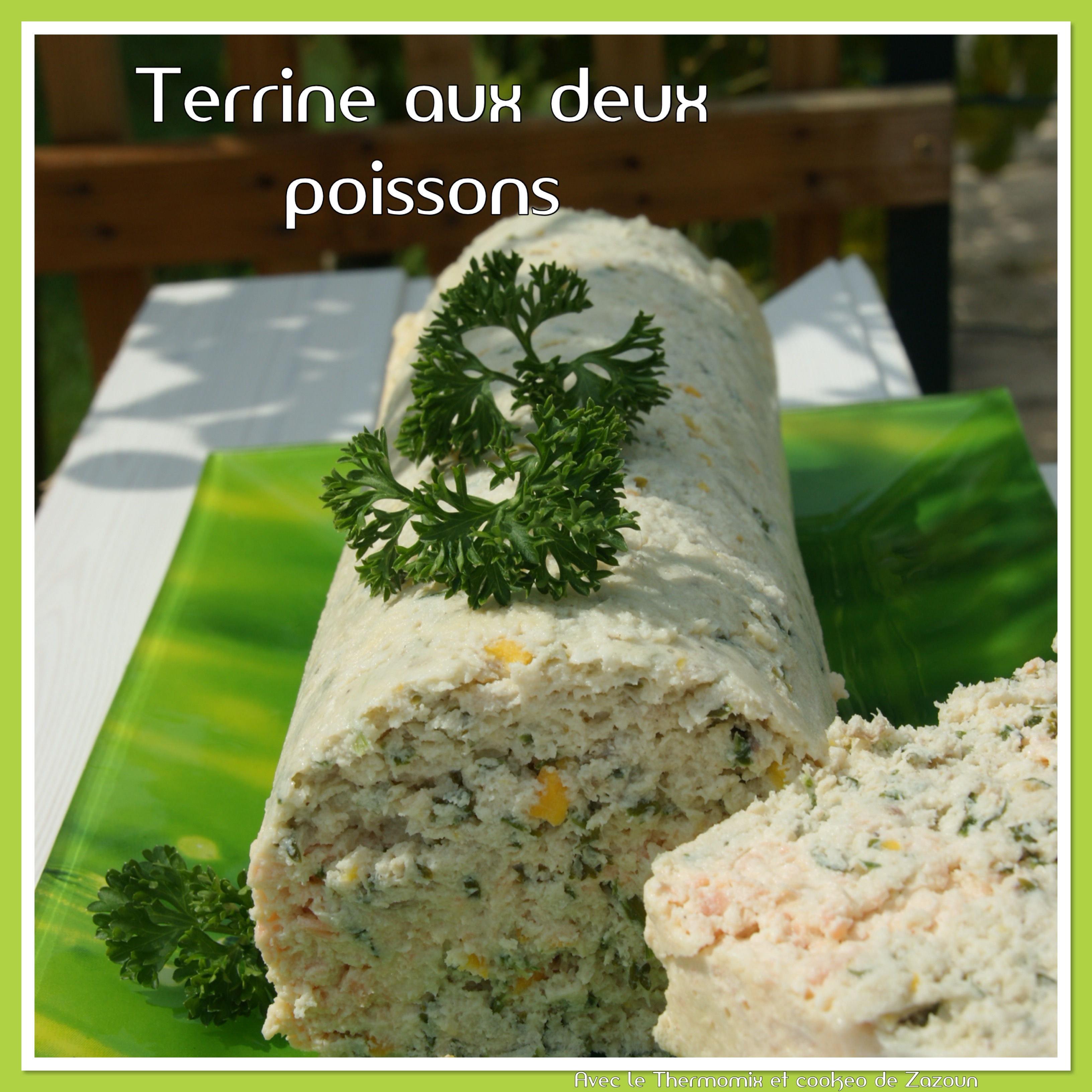 Terrine aux deux poissons Thermomix ou autre robot même simple possible